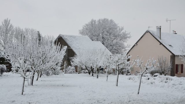 Le verger près du gîte en hiver Le verger près du gîte en hiver est situé à Fontenouilles Charny Orée de Puisaye dans l'Yonne