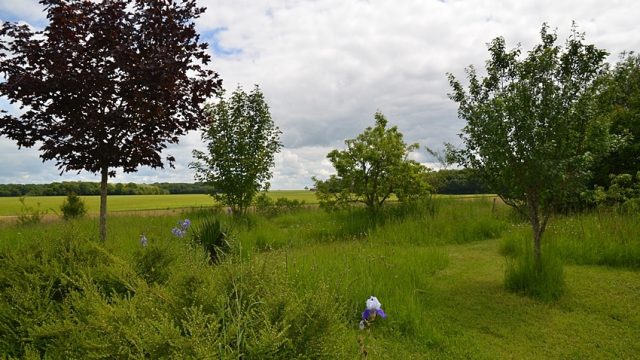 Voir loin... Le jardin avec un bel horizon côté soleil levant