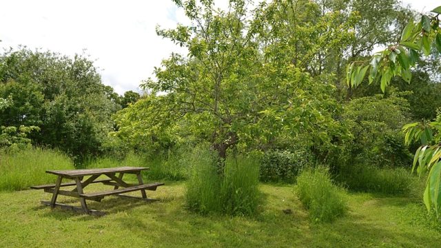 Espace jardin près de la marre pour se restaurer en pleine nature au rythme du chant des oiseaux. Un espace où il fait bon petit-déjeuner, pleine nature et chant des oiseaux